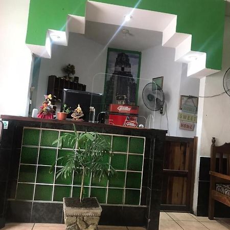 Green Monkey Hostel Flores Exterior photo