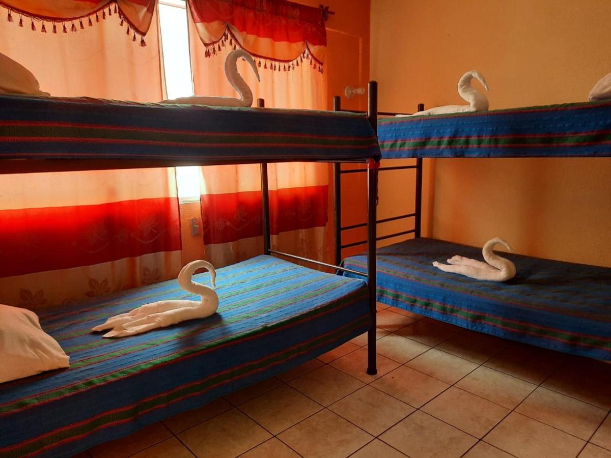 Green Monkey Hostel Flores Exterior photo